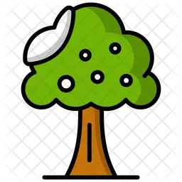 Tree  Icon