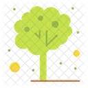 Tree  Icon