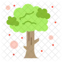 Tree  Icon