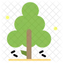 Nature Pine Spring Icon