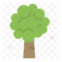 Tree Apple Apple Tree Icon