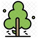 Tree  Icon