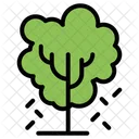 Tree  Icon