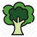 Tree  Icon