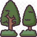 Tree  Icon