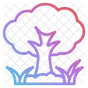 Tree  Icon