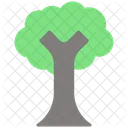 Tree Nature Eco Icon
