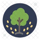 Tree Seeds Plantation Icon