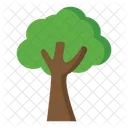 Tree  Icon