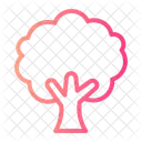 Tree Garden Yard Icon