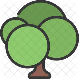 Tree  Icon