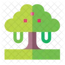 Tree Leaf Ecology Icon