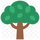 Tree Growth Ecology Icon