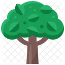 Tree Plant Wood Icon