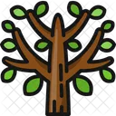 Tree Wood Spring Icon
