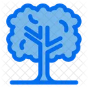 Tree  Icon