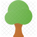 Tree Wood Park Icon