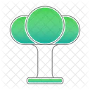 Environment Tree Nature Icon