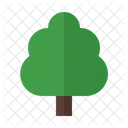 Tree Nature Plant Icon