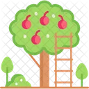 Tree  Icon