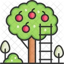 Tree  Icon