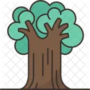 Tree  Icon