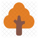 Tree  Icon