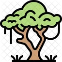 Tree Forest Savanna Icon