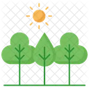 Tree  Icon
