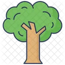 Tree  Icon