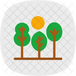 Tree  Icon