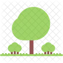 Tree  Icon