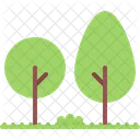 Tree  Icon