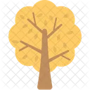 Autumn Tree Generic Icon