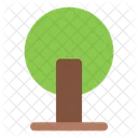 Tree  Icon