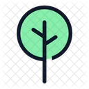 Tree  Icon