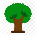 Tree  Icon