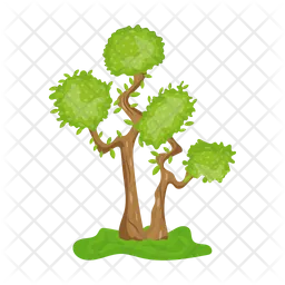 Tree  Icon