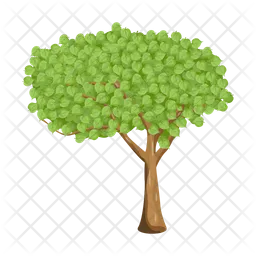 Tree  Icon