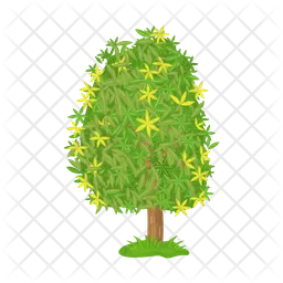 Tree  Icon