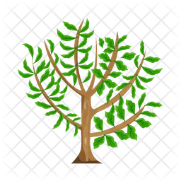 Tree  Icon