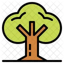 Tree  Icon