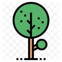 Tree  Icon