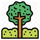 Tree  Icon