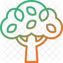 Tree Growth Ecology Icon