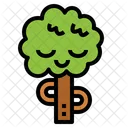 Tree Nature Plant Icon