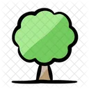 Tree Plant Grow Icon