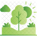Tree Plant Park Icon