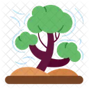 Tree  Icon