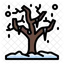 Tree Nature Plant Icon